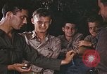Image of P-47 aircraft Corsica France, 1944, second 57 stock footage video 65675059813