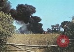 Standbild amerikanische Flugzeuge Korsika Frankreich, 1944, aus Sekunde 8 historischem Filmmaterial Videoclip 65675059814