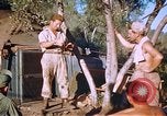 Immagine di Stati Uniti aviatori Corsica Francia, 1944, secondo 28 filmato di repertorio 65675059815