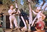 Immagine di Stati Uniti aviatori Corsica Francia, 1944, secondo 31 filmato di repertorio 65675059815