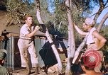 Immagine di Stati Uniti aviatori Corsica Francia, 1944, secondo 33 filmato di repertorio 65675059815