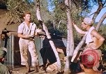 Immagine di Stati Uniti aviatori Corsica Francia, 1944, secondo 34 filmato di repertorio 65675059815