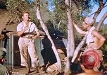 Immagine di Stati Uniti aviatori Corsica Francia, 1944, secondo 35 filmato di repertorio 65675059815