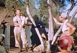 Immagine di Stati Uniti aviatori Corsica Francia, 1944, secondo 36 filmato di repertorio 65675059815