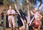 Immagine di Stati Uniti aviatori Corsica Francia, 1944, secondo 37 filmato di repertorio 65675059815