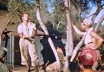 Immagine di Stati Uniti aviatori Corsica Francia, 1944, secondo 38 filmato di repertorio 65675059815