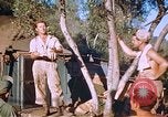 Immagine di Stati Uniti aviatori Corsica Francia, 1944, secondo 39 filmato di repertorio 65675059815