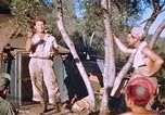 Immagine di Stati Uniti aviatori Corsica Francia, 1944, secondo 40 filmato di repertorio 65675059815