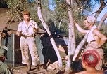 Immagine di Stati Uniti aviatori Corsica Francia, 1944, secondo 41 filmato di repertorio 65675059815