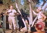 Immagine di Stati Uniti aviatori Corsica Francia, 1944, secondo 42 filmato di repertorio 65675059815