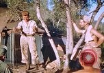 Immagine di Stati Uniti aviatori Corsica Francia, 1944, secondo 43 filmato di repertorio 65675059815