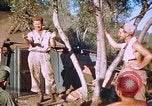 Immagine di Stati Uniti aviatori Corsica Francia, 1944, secondo 44 filmato di repertorio 65675059815