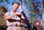 Immagine di Stati Uniti aviatori Corsica Francia, 1944, secondo 47 filmato di repertorio 65675059815