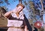 Immagine di Stati Uniti aviatori Corsica Francia, 1944, secondo 52 filmato di repertorio 65675059815