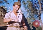 Immagine di Stati Uniti aviatori Corsica Francia, 1944, secondo 53 filmato di repertorio 65675059815