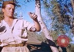 Immagine di Stati Uniti aviatori Corsica Francia, 1944, secondo 55 filmato di repertorio 65675059815