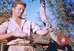 Immagine di Stati Uniti aviatori Corsica Francia, 1944, secondo 56 filmato di repertorio 65675059815