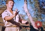 Immagine di Stati Uniti aviatori Corsica Francia, 1944, secondo 57 filmato di repertorio 65675059815