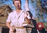 Immagine di Stati Uniti aviatori Corsica Francia, 1944, secondo 58 filmato di repertorio 65675059815