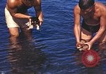 Image of United States airmen Corsica France, 1944, second 10 stock footage video 65675059816