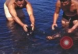 Image of United States airmen Corsica France, 1944, second 11 stock footage video 65675059816