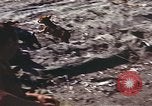 Image of United States airmen Corsica France, 1944, second 22 stock footage video 65675059816
