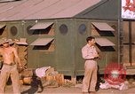 Image of United States airmen Corsica France, 1944, second 11 stock footage video 65675059817