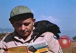 Image of United States airmen Corsica France, 1944, second 62 stock footage video 65675059817