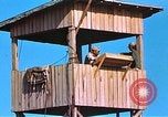 Image of  57th Fighter Group P-47s at Alto Airfield Corsica France, 1944, second 43 stock footage video 65675059819