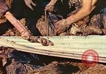 Image charnier Lyon France, 1944, de la seconde 3 séquences d'archives historiques vidéo 65675059820