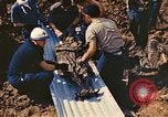 Image charnier Lyon France, 1944, de la seconde 27 séquences d'archives historiques vidéo 65675059820