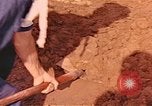 Immagine di Tomba di massa Lione Francia, 1944, secondo 24 filmato di repertorio 65675059821