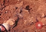 Immagine di Tomba di massa Lione Francia, 1944, secondo 31 filmato di repertorio 65675059821