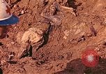 Immagine di Tomba di massa Lione Francia, 1944, secondo 33 filmato di repertorio 65675059821