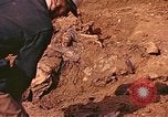 Immagine di Tomba di massa Lione Francia, 1944, secondo 35 filmato di repertorio 65675059821