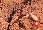 Immagine di Tomba di massa Lione Francia, 1944, secondo 49 filmato di repertorio 65675059821