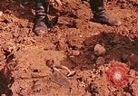 Immagine di Tomba di massa Lione Francia, 1944, secondo 56 filmato di repertorio 65675059821