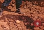 Immagine di Tomba di massa Lione Francia, 1944, secondo 57 filmato di repertorio 65675059821