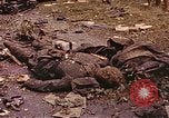 Immagine di I soldati tedeschi Francia, 1944, secondo 11 filmato di repertorio 65675059822