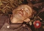Immagine di I soldati tedeschi Francia, 1944, secondo 13 filmato di repertorio 65675059822