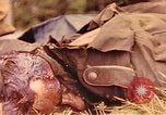 Immagine di I soldati tedeschi Francia, 1944, secondo 26 filmato di repertorio 65675059822