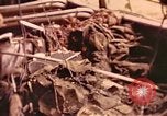 Immagine di I soldati tedeschi Francia, 1944, secondo 34 filmato di repertorio 65675059822