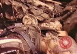 Immagine di I soldati tedeschi Francia, 1944, secondo 35 filmato di repertorio 65675059822