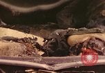 Immagine di I soldati tedeschi Francia, 1944, secondo 37 filmato di repertorio 65675059822