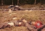 Immagine di I soldati tedeschi Francia, 1944, secondo 47 filmato di repertorio 65675059822