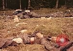 Immagine di I soldati tedeschi Francia, 1944, secondo 48 filmato di repertorio 65675059822