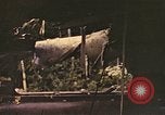Immagine di I soldati tedeschi Francia, 1944, secondo 58 filmato di repertorio 65675059822