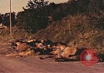 Image of damaged bridge France, 1944, second 41 stock footage video 65675059823