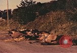 Image of damaged bridge France, 1944, second 42 stock footage video 65675059823