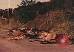 Image of damaged bridge France, 1944, second 43 stock footage video 65675059823